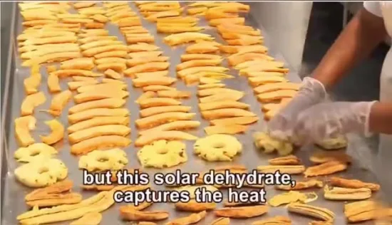 Hergestellt in China. Hocheffizientes Lager-Obst-Gemüse-Solar-Trockner-Maschinen-Gewächshaus